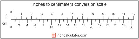 Convert 14 cm into Inches: Quick and Easy Guide
