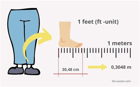 Convert 90 Meters to Feet: Accurate Conversion Guide for Quick Insights