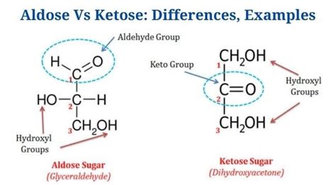 Aldose vs Ketose: Sugar Showdown Secrets