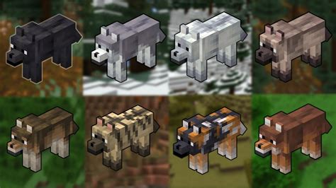 All Dogs Minecraft And Where To Find Them