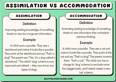 Assimilation vs Accommodation: Unveiling Cognitive Growth Secrets