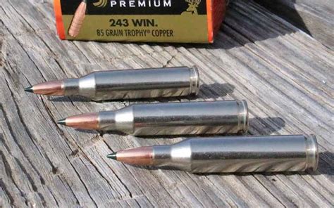 Best Magazine For 243 Winchester