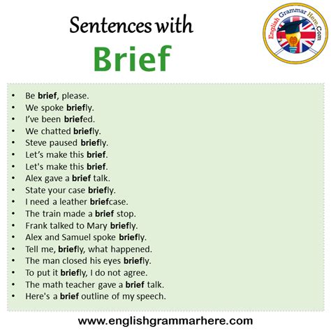 Brief In A Sentence Translateen English Sentence Dictionary Brief In A Sentence Translateen English Sentence Dictionary