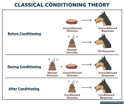 Real-Life Classical Conditioning Example: Discover the Science Behind Your Habits