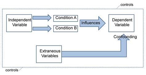 Confounding Variable Psychology Explained: Key Insights