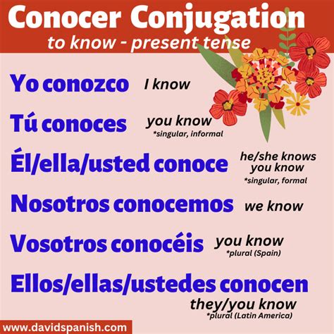 Mastering 'Conocer Conjugation Preterite': Quick Insights
