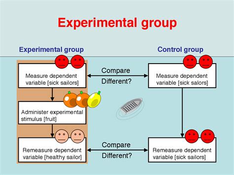 Understanding Control Group and Experimental Group in Research Studies