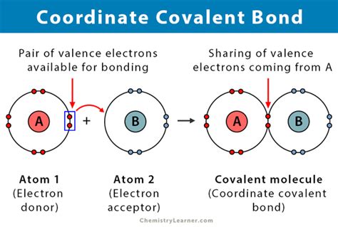 Discover the Secrets of Coordinate Covalent Compounds