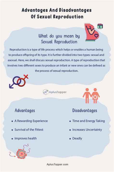 Unveiling the Hidden Drawbacks: Disadvantages of Sexual Reproduction Explained