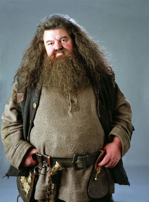 Does Hagrid Die in the Harry Potter Series Uncovered