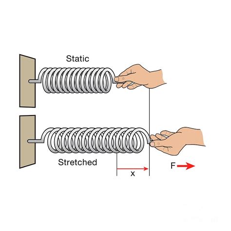 Elastic Potential Energy Explained: Secrets Revealed