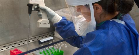 Entry Level Public Health Jobs