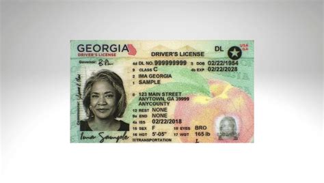 Georgia Healthcare License