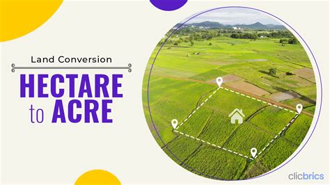 Simple 'Ha to Acre' Conversion Guide Revealed!
