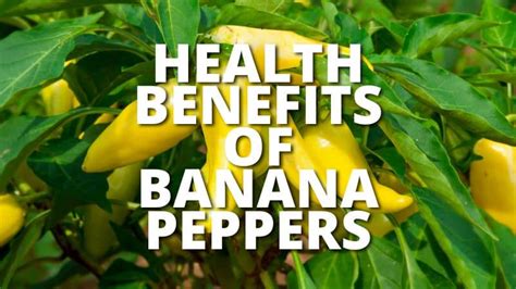 Health Benefits Of Banana Peppers
