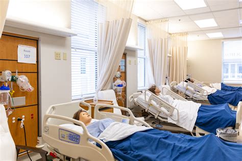 Health Science Preprofessional Studies Meaning