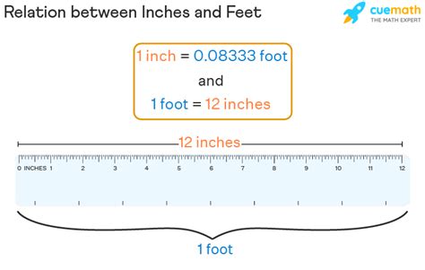 Unveil the Simple Truth: How Many Inches in 10 Feet