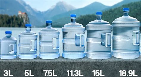 How Much Does 5 Gallons of Water Weigh Discover the Surprising Truth