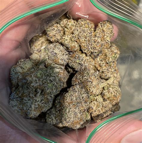 Is Health Net Good Reddit