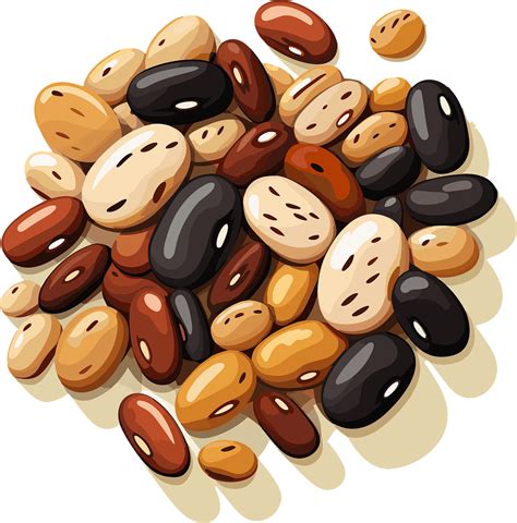 Kidney Clipart Pinto Bean Kidney Pinto Bean Transparent Free For Kidney Clipart Pinto Bean Kidney Pinto Bean Transparent Free For