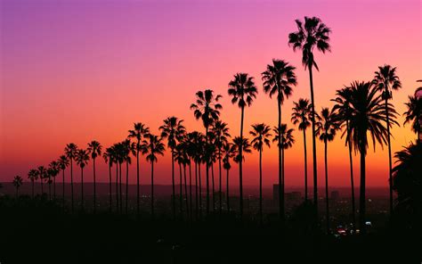 Los Angeles Sunset Wallpapers Top Free Los Angeles Sunset Backgrounds