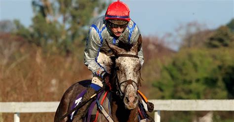 Panda Boy Grand National