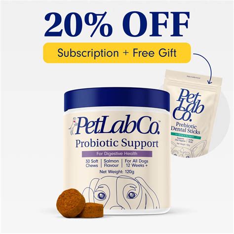 Petlab Co Probiotic Chews For Dogs Results Youtube Petlab Co Probiotic Chews For Dogs Results Youtube