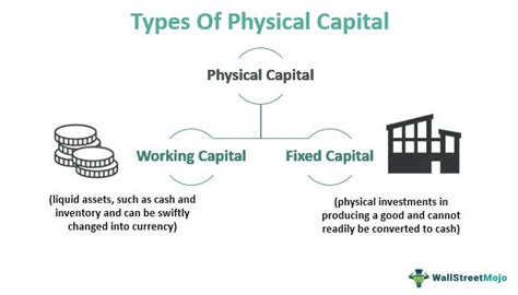 Physical Capital/Capital Goods Definition: Key Insights