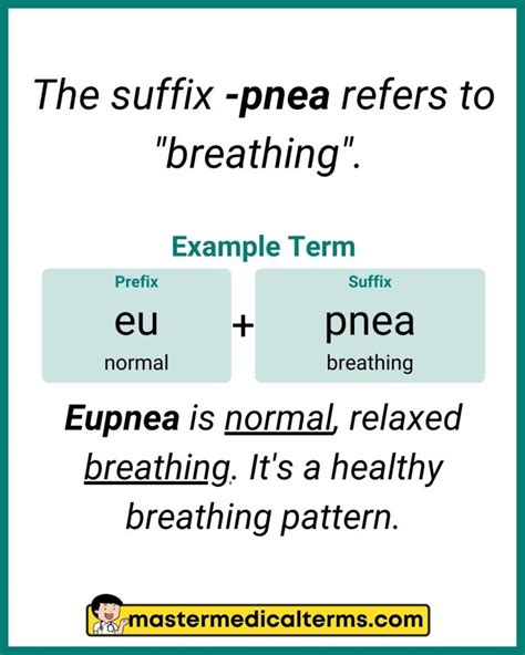 Apnea Medical Term: Unveiling Its Importance and Impact on Health