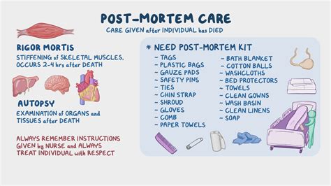 Essential Post Mortem Care Tips for Families