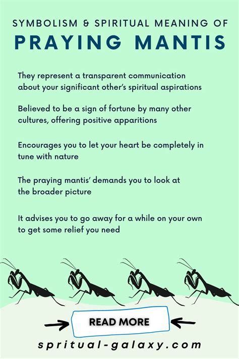 Praying Mantis Spiritual Meaning Uncovered: A Hidden Message for You