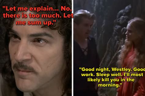 Best 'Princess Bride Quotes' to Inspire Adventure