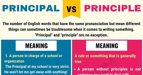 Principal vs Principle: Unveiling the Key Differences You Need to Know