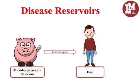 Reservoir Def Healthcare