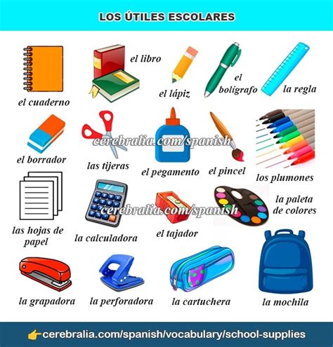 Ultimate Guide to School Supplies in Spanish: Essential List for Students