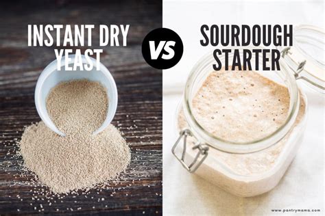 Sourdough Vs Yeast Gut Health