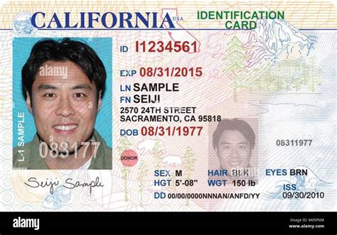 California Driver's License Renewal Tips