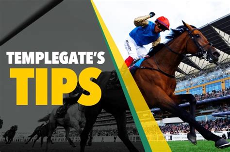 Templegate's Tips Today