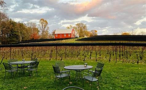 The 16 Best Wineries Around Frederick Md Epicfrederick