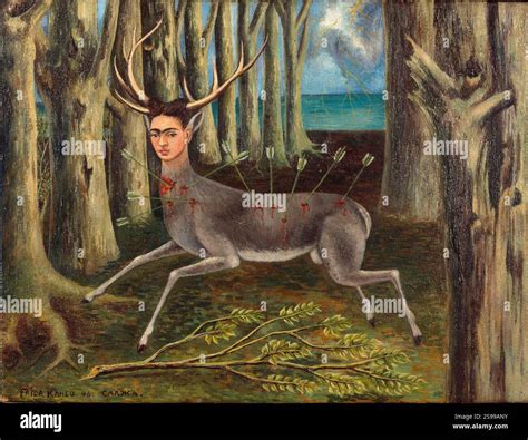 Mysteries of the Wounded Deer Revealed