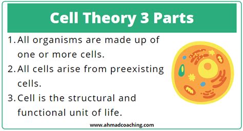 Discover the Three Core Parts of Cell Theory Explained
