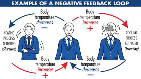 What Is Negative Feedback In Healthcare