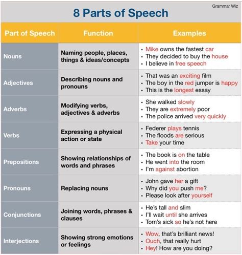 Decoding 'We': The Essential Part of Speech in Grammar