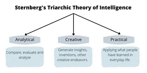 Who Created Triarchic Theory: Intelligence Explained
