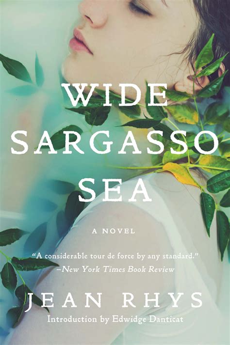 Wide Sargasso Sea: Mysteries Unveiled