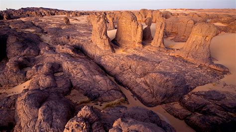 Best Windows Software Solutions in Algeria for 2023